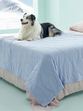 BEDSURE SUPER FRESH COOLING  XL PET BLANKETS!